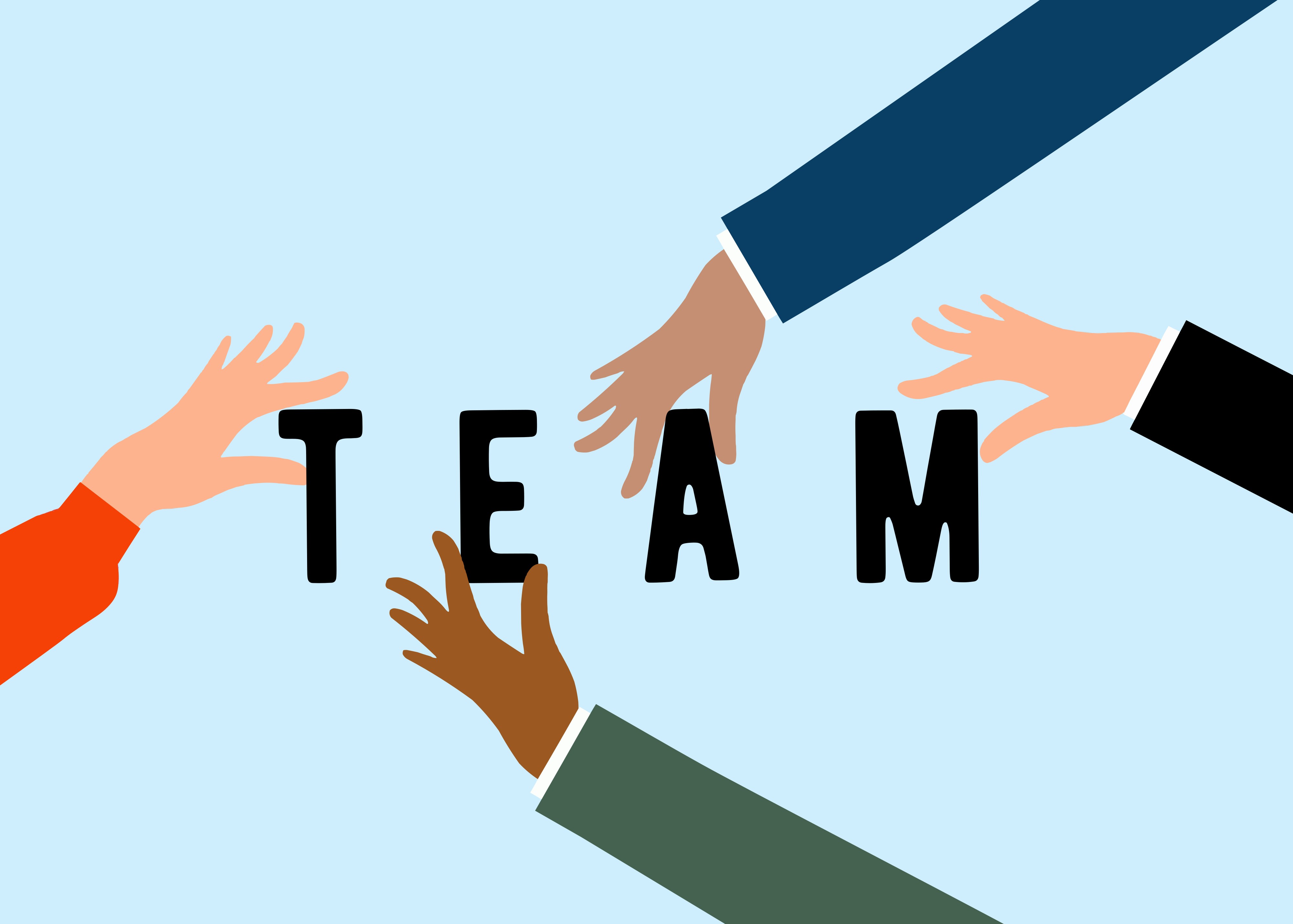 Our Team